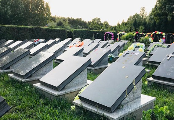 2022年清明节,除了扫墓之外,哪些陵园最适合踏青? 2022年清明节,除了扫墓之外,哪些陵园最适合踏青?