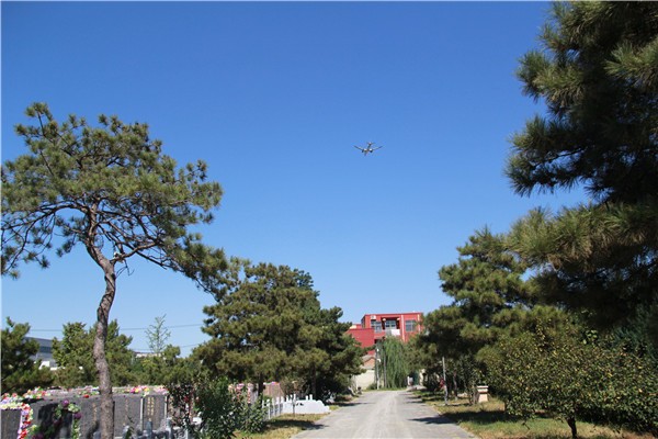 北京朝阳陵园环境怎么样?价格是多少? 北京朝阳陵园环境怎么样?价格是多少?